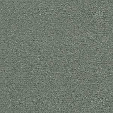 Ковролин Radici Nexus Opale 8251 фото 1 | FLOORDEALER